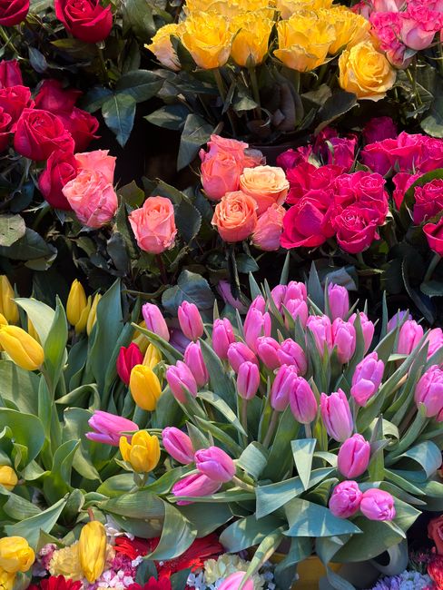 A vibrant display of fresh flowers featuring pink, yellow, and peach tulips with smooth, elongated petals and green stems, arranged in a lush bouquet. Surrounding the tulips are clusters of pink and y