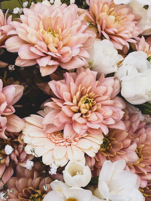 A close-up view of a lush floral arrangement featuring large, soft pink chrysanthemums with multiple layers of delicately ruffled petals, complemented by smaller white blossoms and green foliage. The 